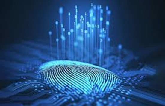Identity & Access Management (IAM)